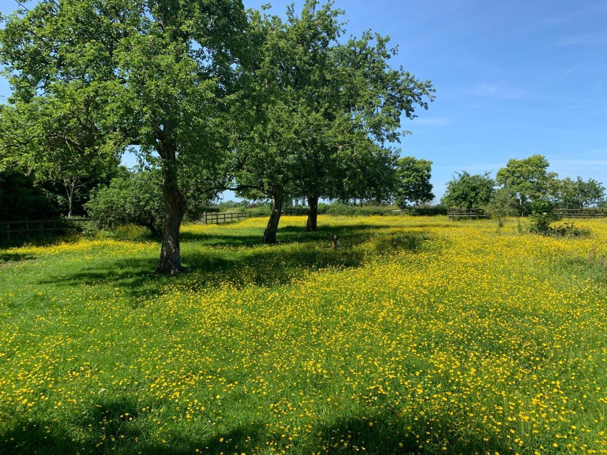 Beautiful Rural Apt, Walking Distance To Three Choirs Vineyard/Brassiere Gloucestershire Apartment Newent Екстериор снимка